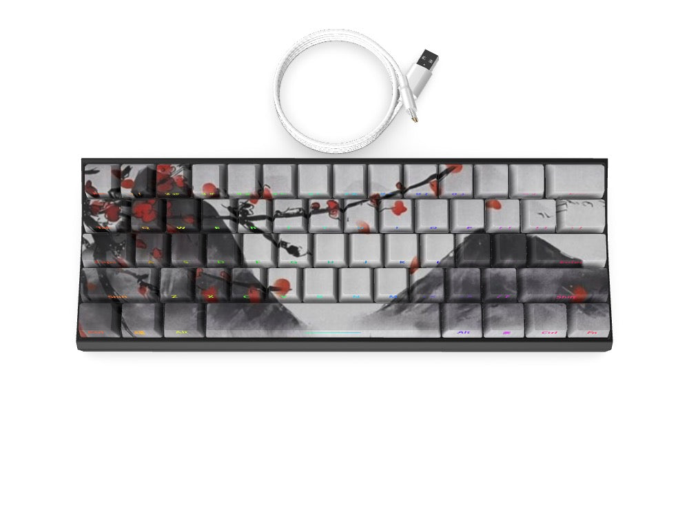 T60 Keyboard - Custom Design Ref: 3INTYL
