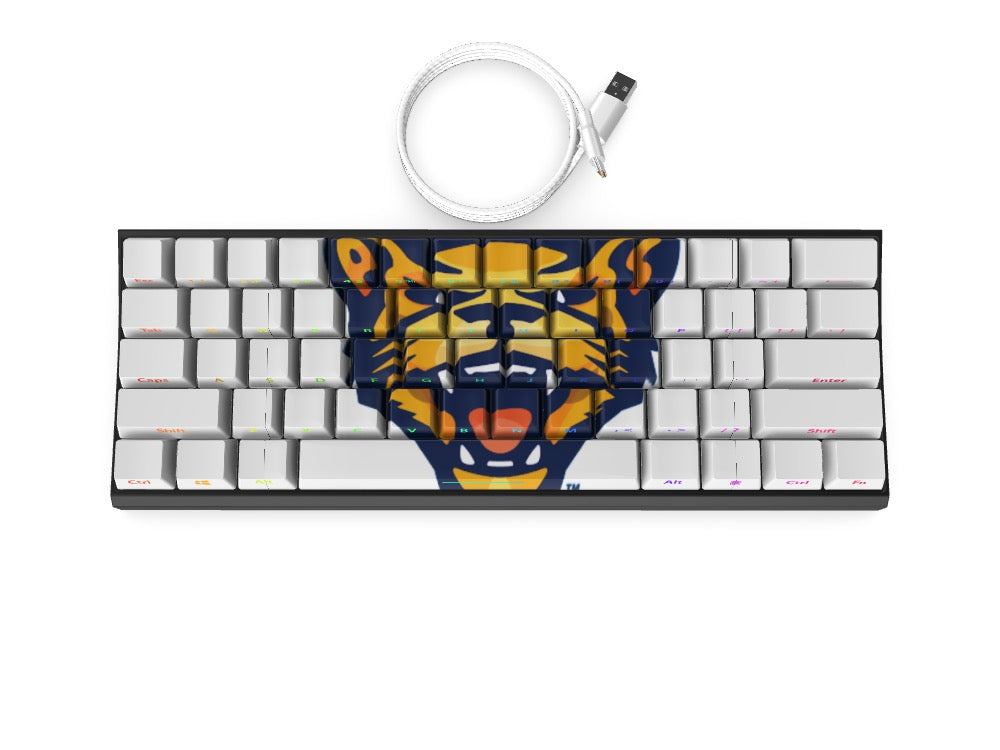 T60 Keyboard - Custom Design Ref: FBPOSE
