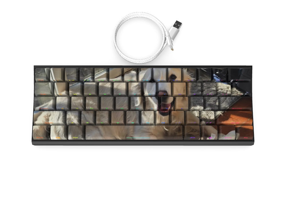 T60 Keyboard - Custom Design Ref: FJGVX6
