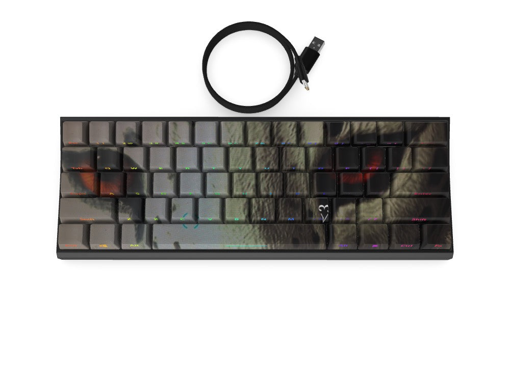 T60 Keyboard - Custom Design Ref: HO7Q60