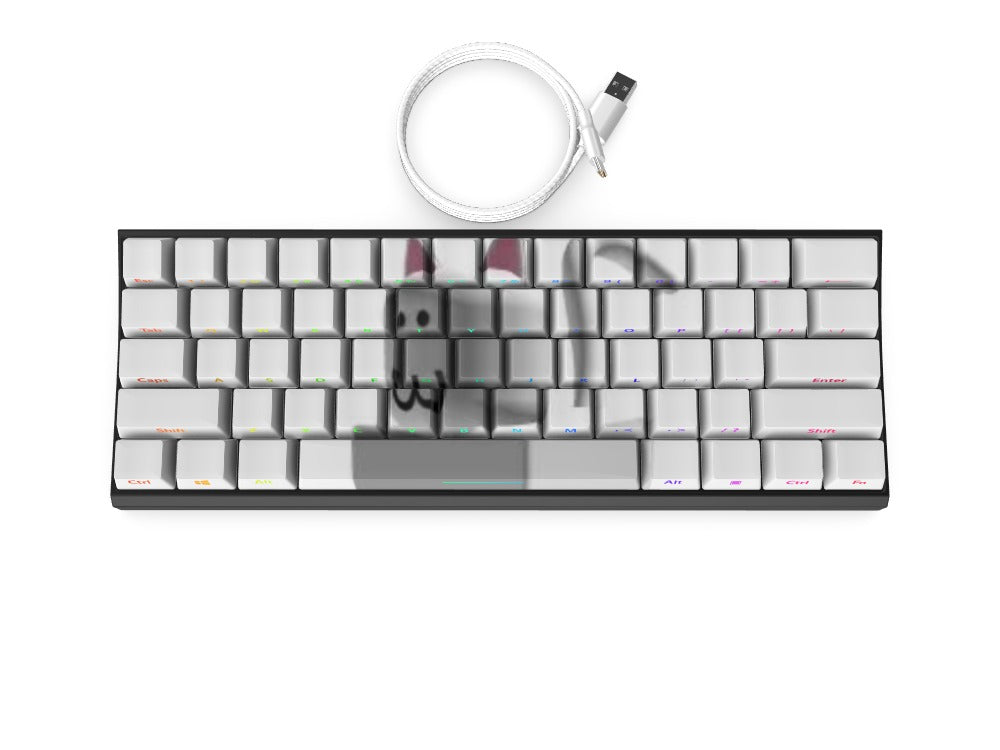 T60 Keyboard - Custom Design Ref: HUOHYY