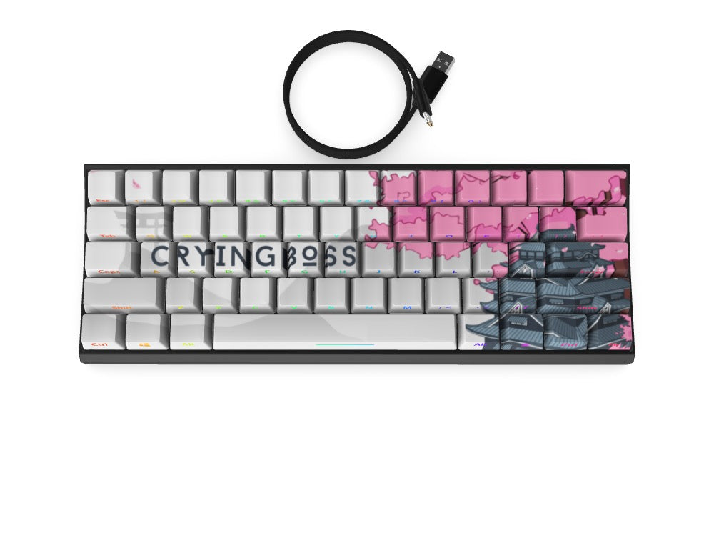 T60 Keyboard - Custom Design Ref: JZNVX9