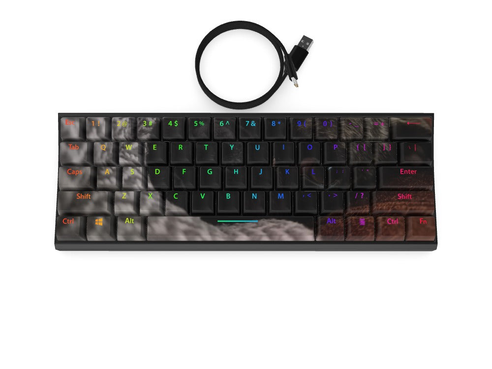 T60 Keyboard - Custom Design Ref: LZF3JWV - [alt_customs]