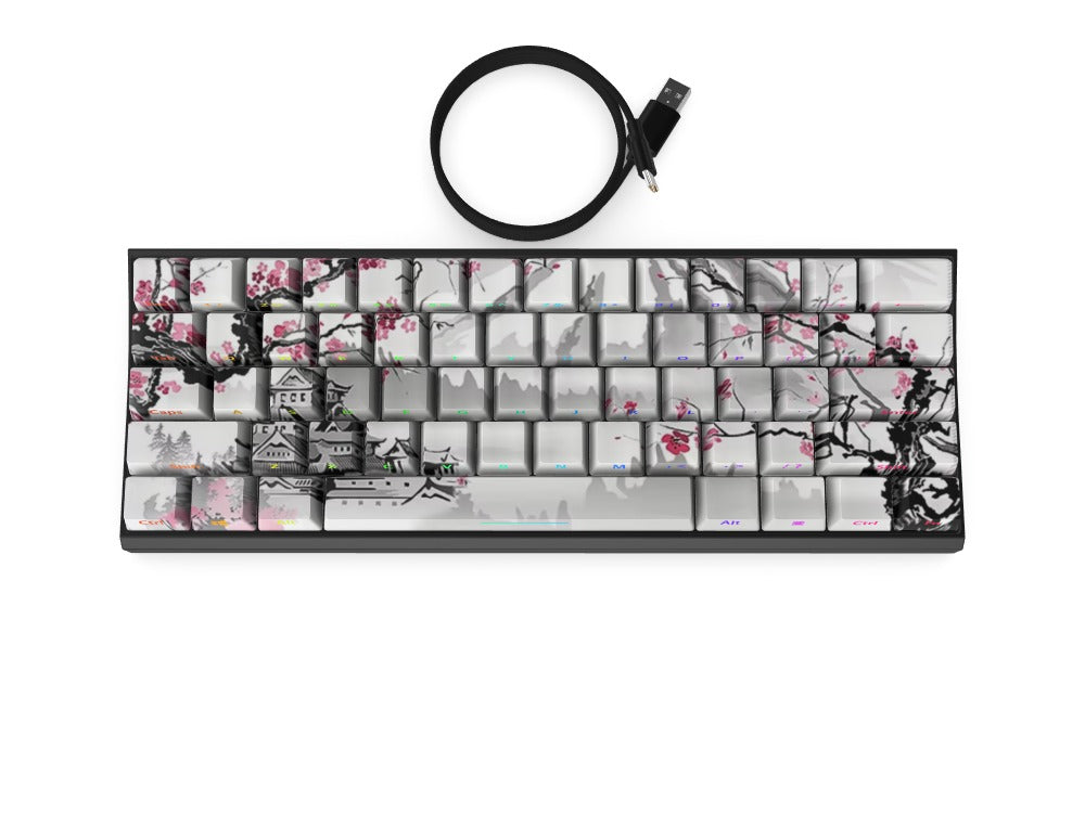 T60 Keyboard - Custom Design Ref: QBF52L