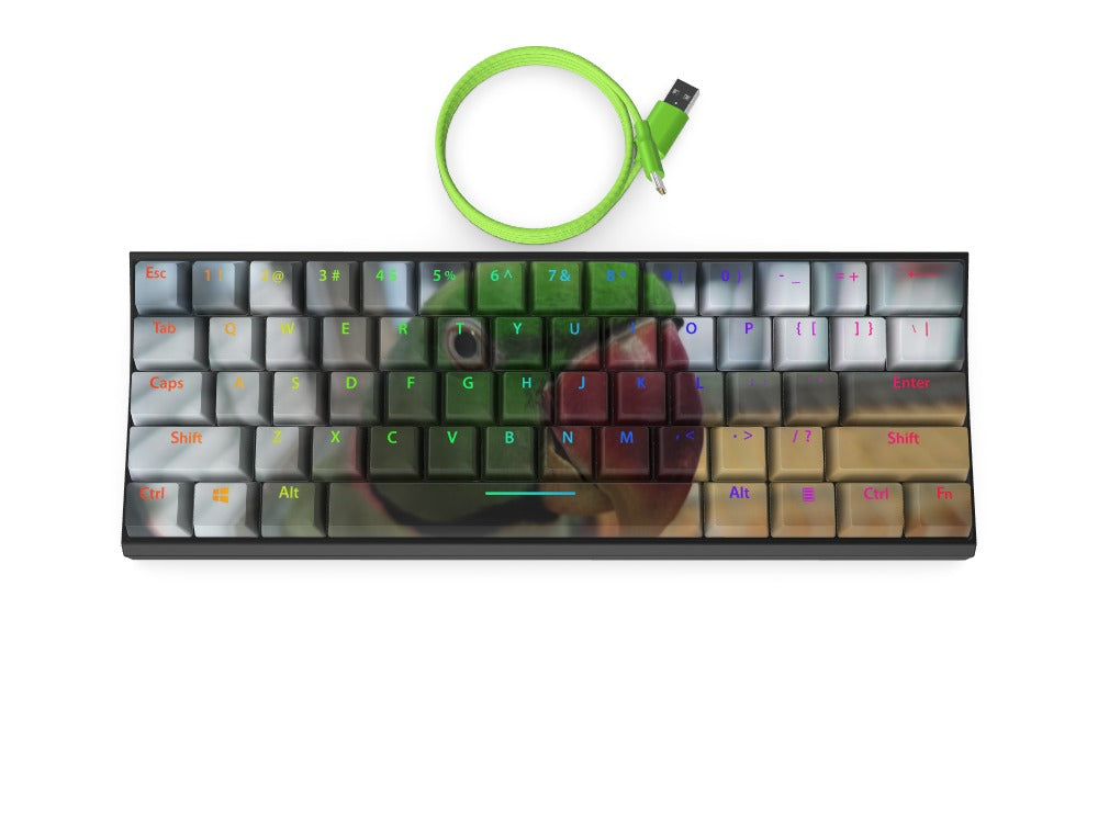T60 Keyboard - Custom Design Ref: QNXZ4XL