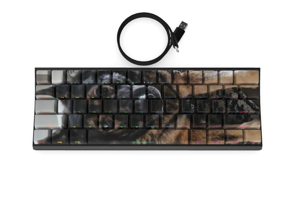 T60 Keyboard - Custom Design Ref: RBLWZD