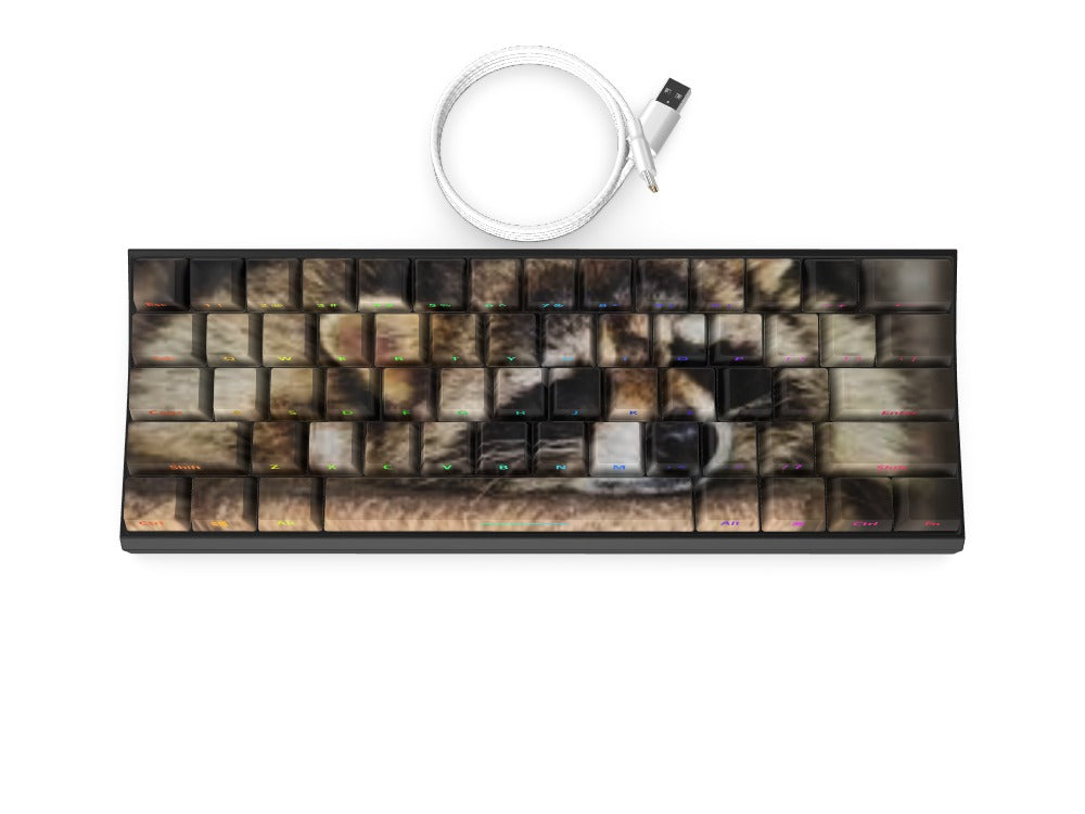 T60 Keyboard - Custom Design Ref: TUMWG5