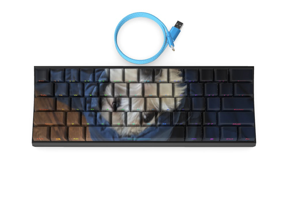 T60 Keyboard - Custom Design Ref: U0QSHM