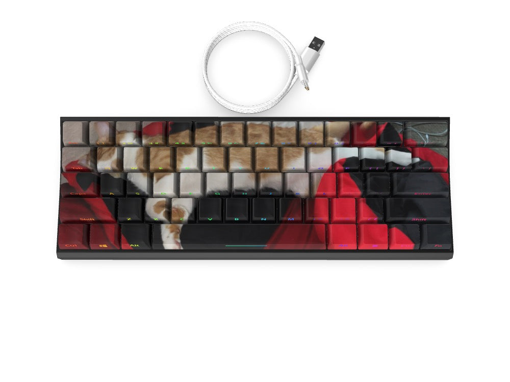 T60 Keyboard - Custom Design Ref: UDDDQP