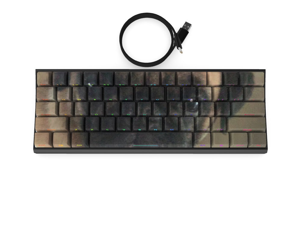 T60 Keyboard - Custom Design Ref: WPAXME