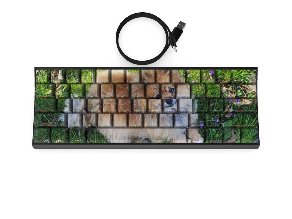 T60 Keyboard - Custom Design Ref: XNAJB4