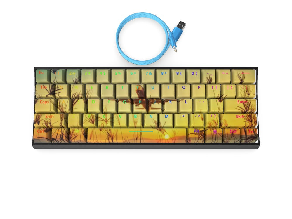T60 Keyboard - Custom Design Ref: XPBYYQ - [alt_customs]