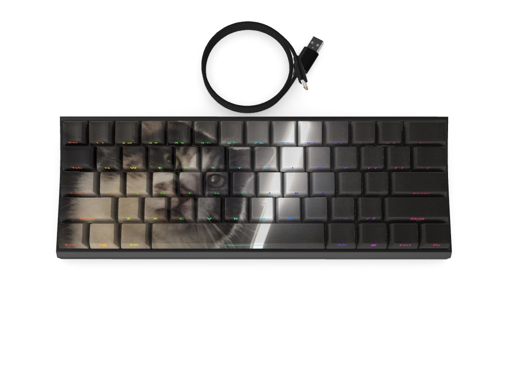 T60 Keyboard - Custom Design Ref: XZPEW9