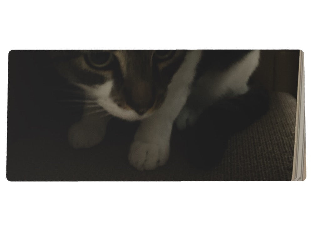 Custom XXL Speedmat - Custom Design Ref: 5RUBBO - [alt_customs]