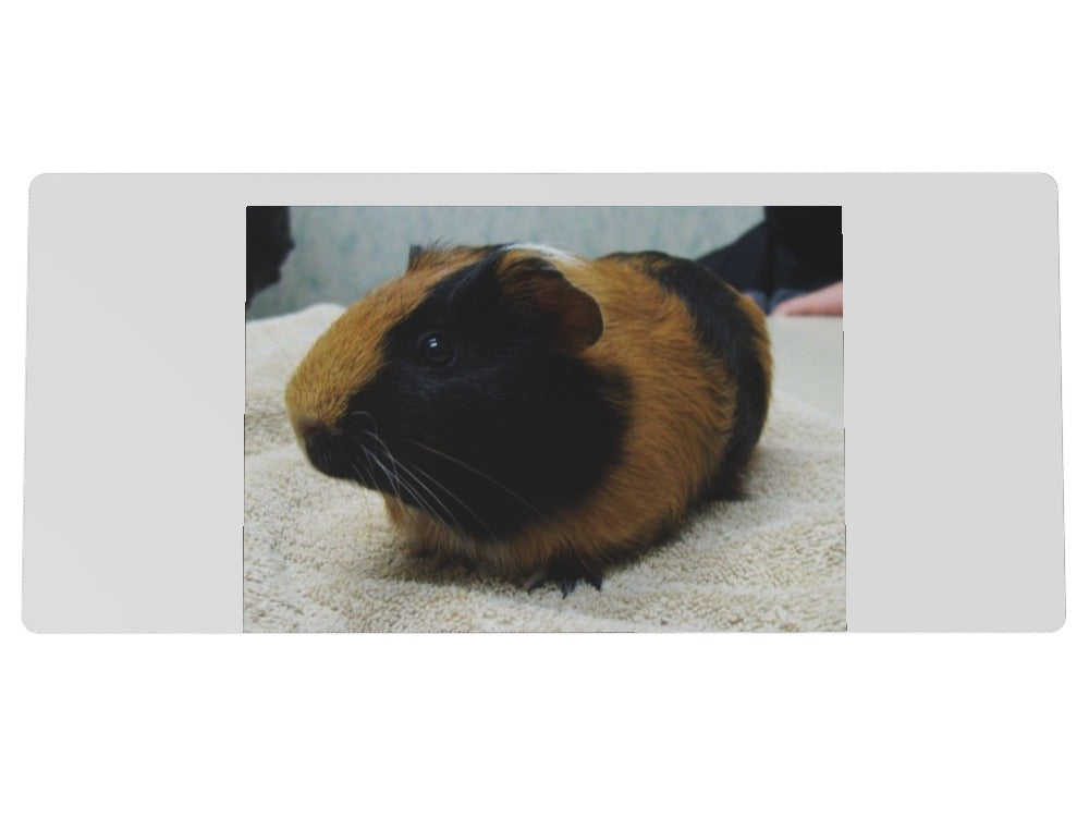 Custom XXL Speedmat - Custom Design Ref: TDHFZ1